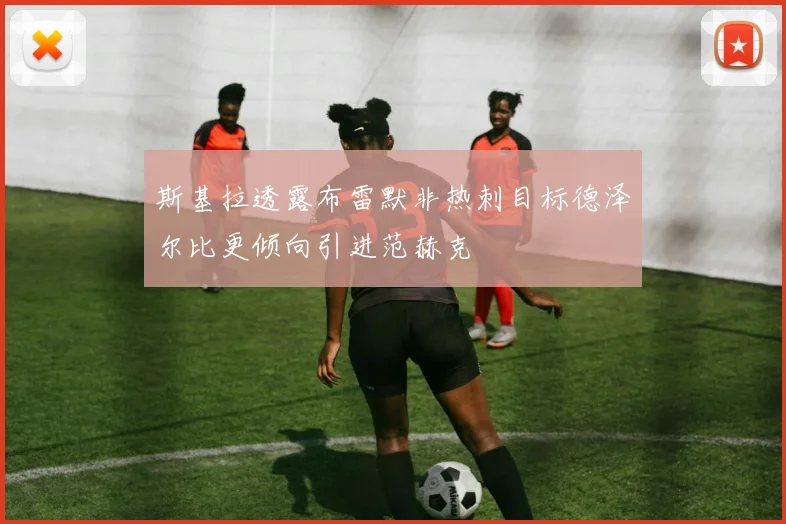 斯基拉透露布雷默非热刺目标德泽尔比更倾向引进范赫克