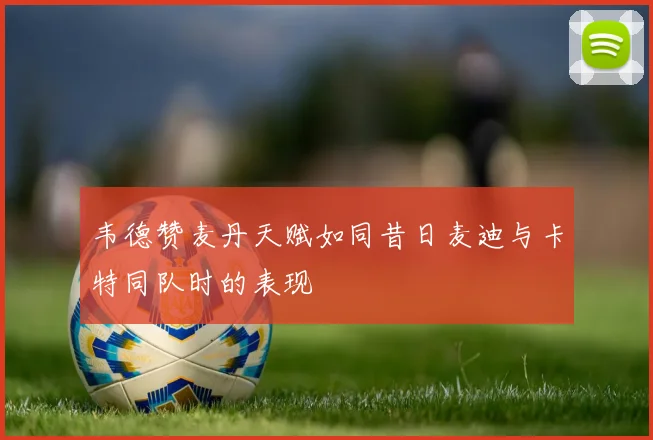 韦德赞麦丹天赋如同昔日麦迪与卡特同队时的表现