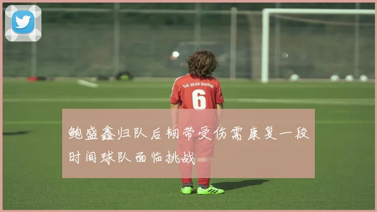 鲍盛鑫归队后韧带受伤需康复一段时间球队面临挑战